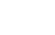 Cannes Volontaires